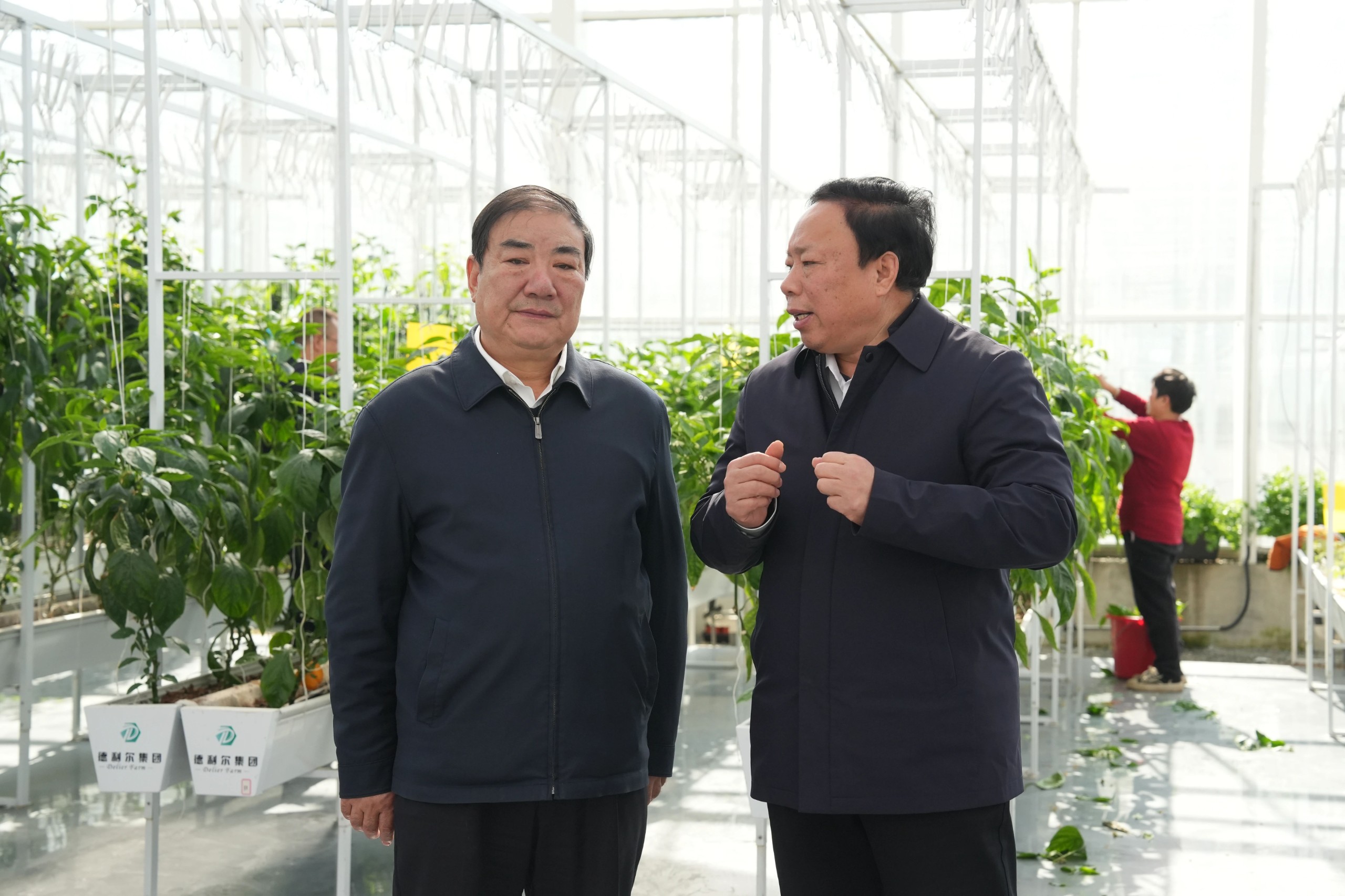 微信图片_20250226171312.jpg