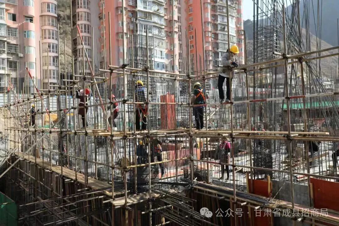 微信图片_2026-03-04_101241_005.jpg